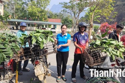 Thanh Hoá: Hỗ trợ phụ nữ phát triển kinh tế